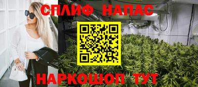 гидра Нальчик