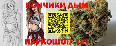 гидра Нальчик