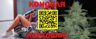 гидра Нальчик