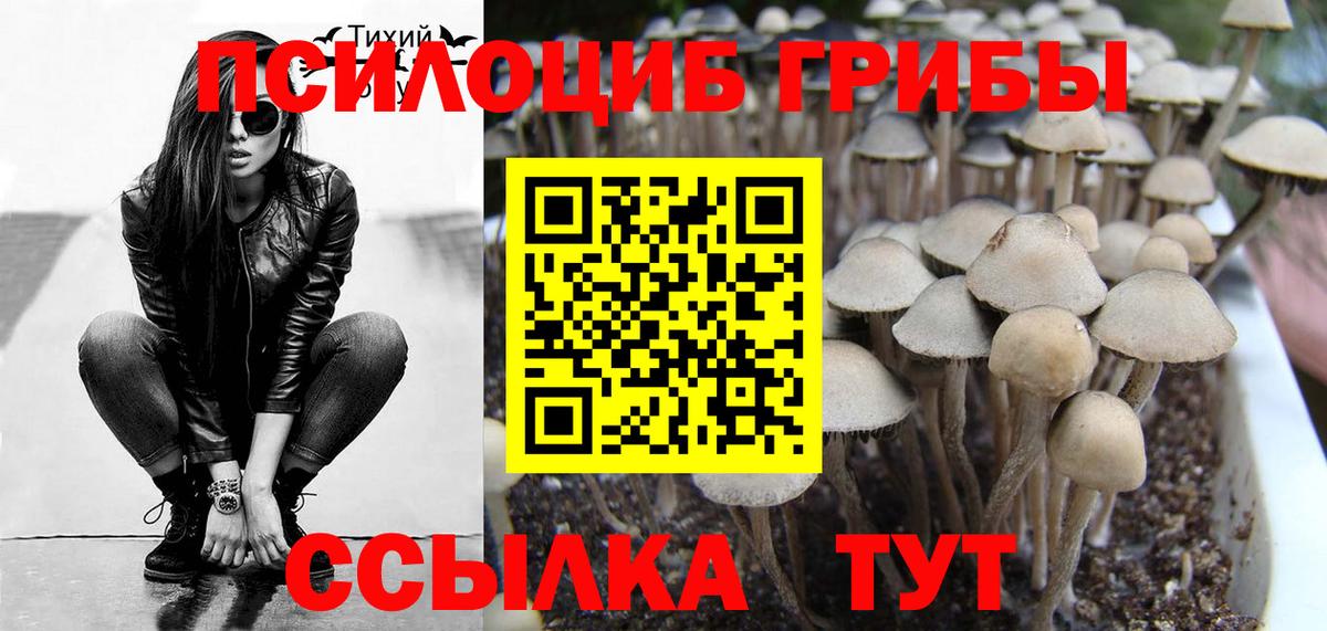 Псилоцибиновые грибы MAGIC MUSHROOMS  Галлюциногенные грибы GOLDEN TEACHER  Партизанск  Вход с VPN 